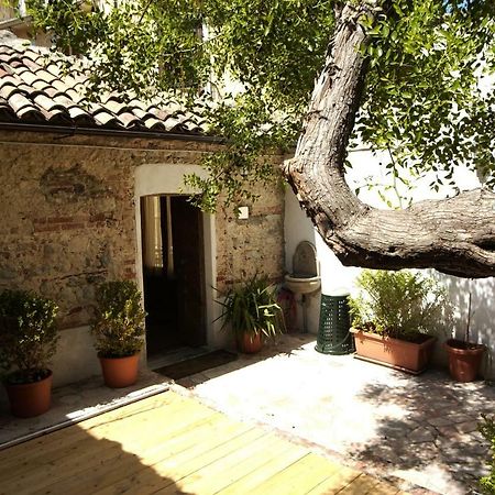 Villa L'Albero Di Giuggiole Cosenza Exterior foto