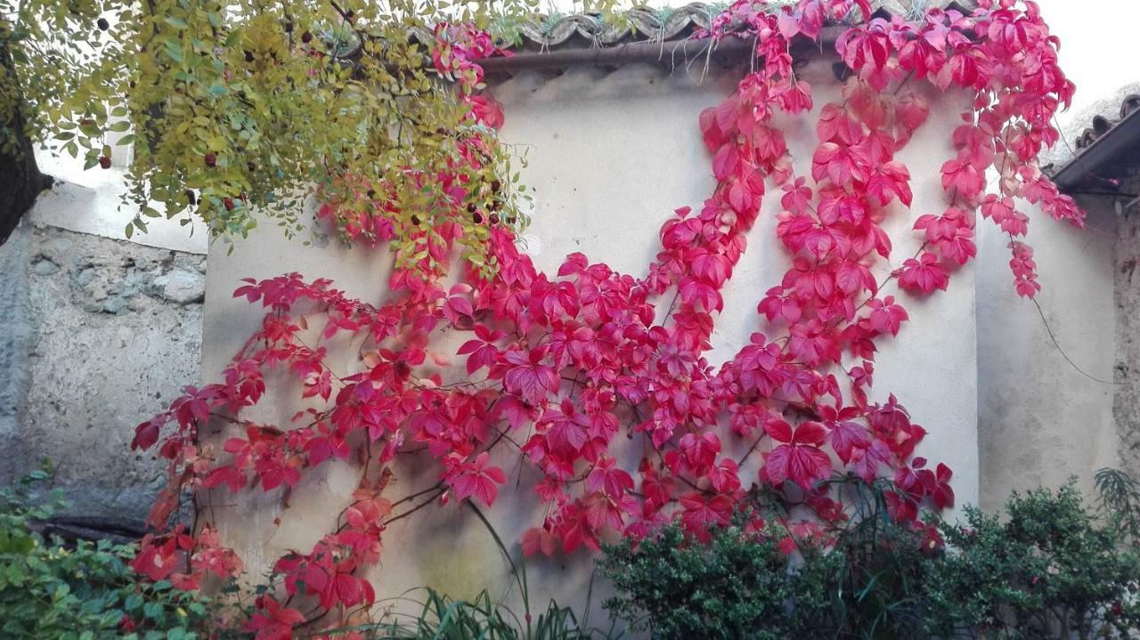 Villa L'Albero Di Giuggiole Cosenza Exterior foto